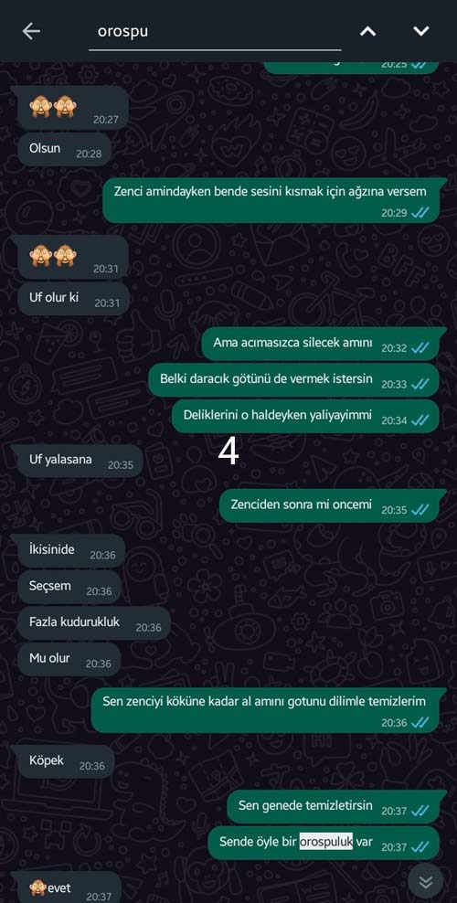 Erotik İtiraf WhatsApp sex Mesajları